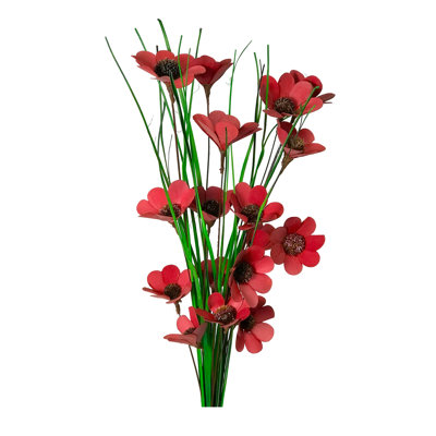 Tiges de coquelicots sauvages