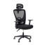 Chaise de bureau ergonomique