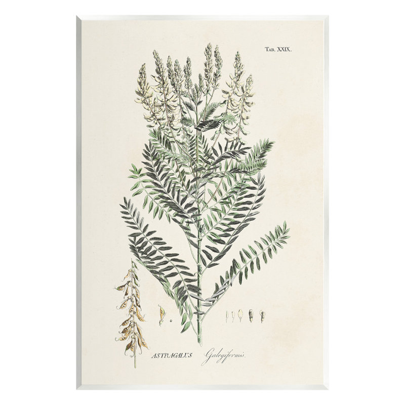 «Forest Forest Study» par Martini, H 15 po x l 10 po
