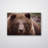 Brown Bear Print - Wildlife Animal Wall Art - Bear Illustration Canvas Poster - Forest Nature Artwork - Rustic Cabin Lodge Decor - Scenic Animal Wall Hanging - Modern Home Decoration Art Print-1321617267-1324241376