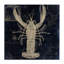 Contour sur carte Lobster, conception de Sasha-1788664108