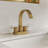 Centerset Bathroom Faucet with Drain Assembly, 2-handle Bathroom Sink Faucet-119315269