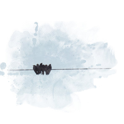 Bernville Birds Sitting On Wire - Wrapped Canvas Painting