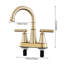 Double Handle Bathroom Sink Faucet with Drainer-246607