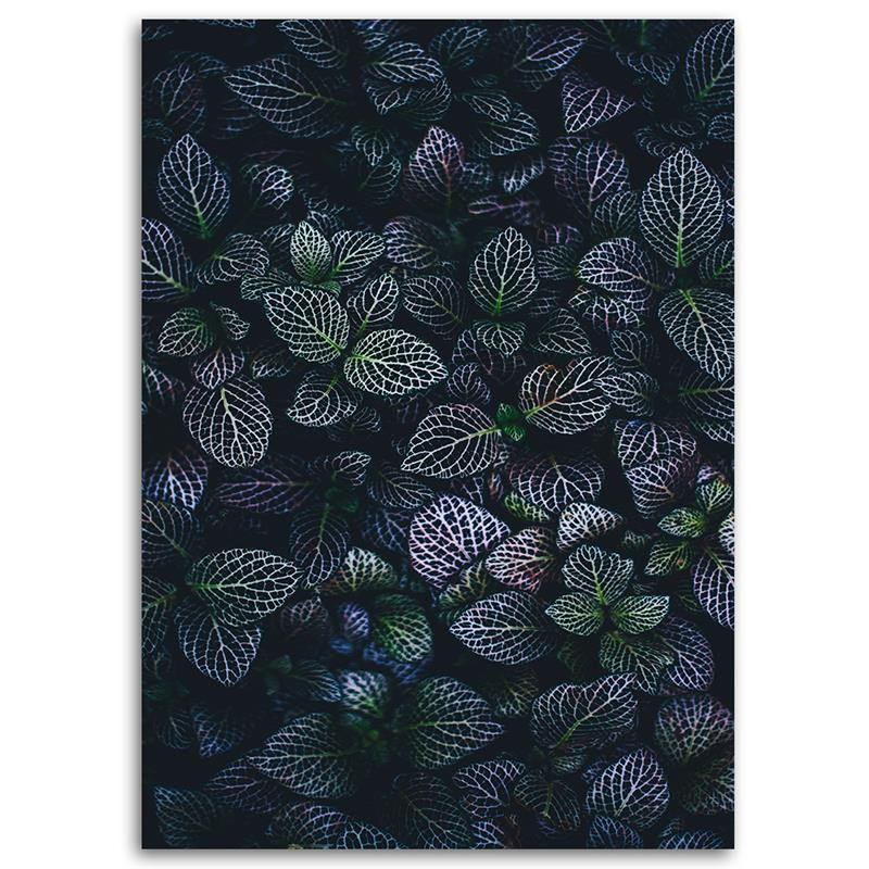 No Frame Print on Canvas, 100cm H x 70cm W