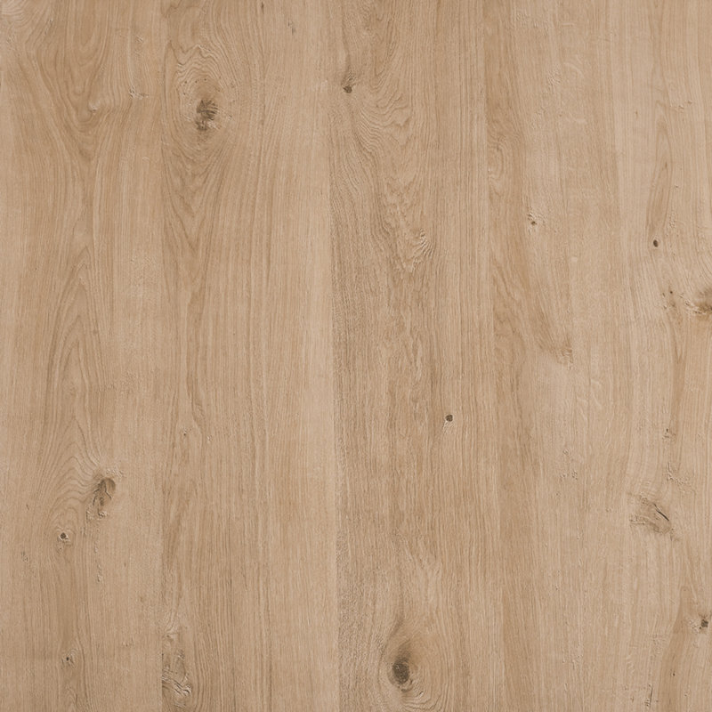 Leonidha 55 " W Prep Table, White Oak
