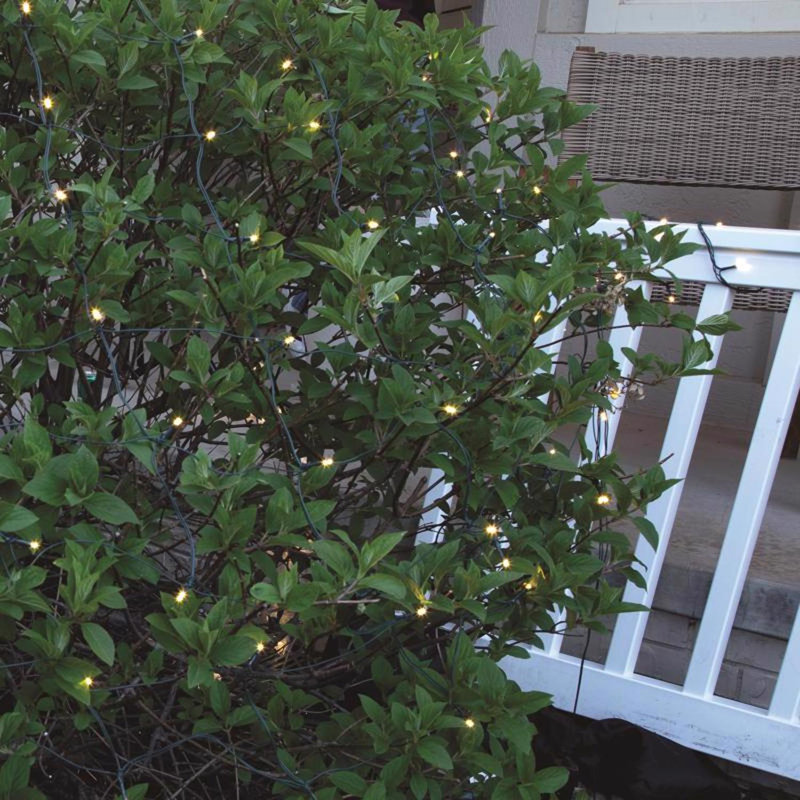 Celebrations Platinum LED T5 Multicolored 100 ct Net Smart-Enabled Christmas Lights 4 ft.