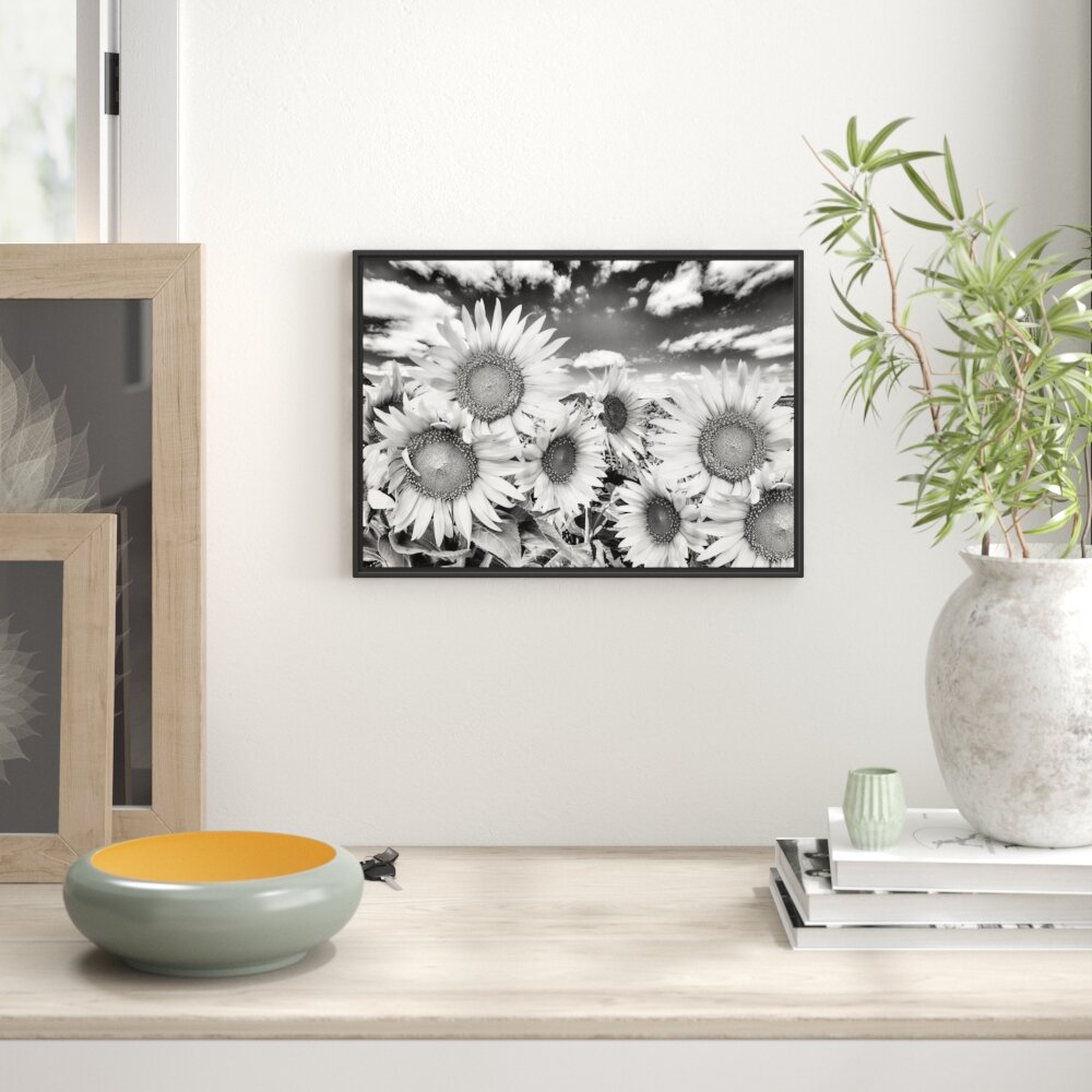 Gerahmtes Wandbild Sonnenblumenwiese unter Himmel