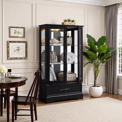Lighted Glass Curio Cabinet with Adjustable Shelves - Elegant 2-Door Display Cabinet & Built-in Drawer, Black by Alcott Hill