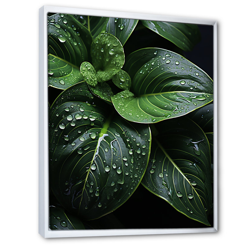 Raindrop Over Green Leafs - Floral & Botanical Canvas Prints, H 20 po x l 12 po x P 1 po, Cadre flottant blanc