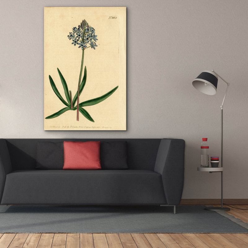 Toile épique «Italian Squill» par Art Licensing Studio, Epic Graffiti, 40 po x 60 po