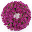 Couronne 22 po Morningglory-322782474