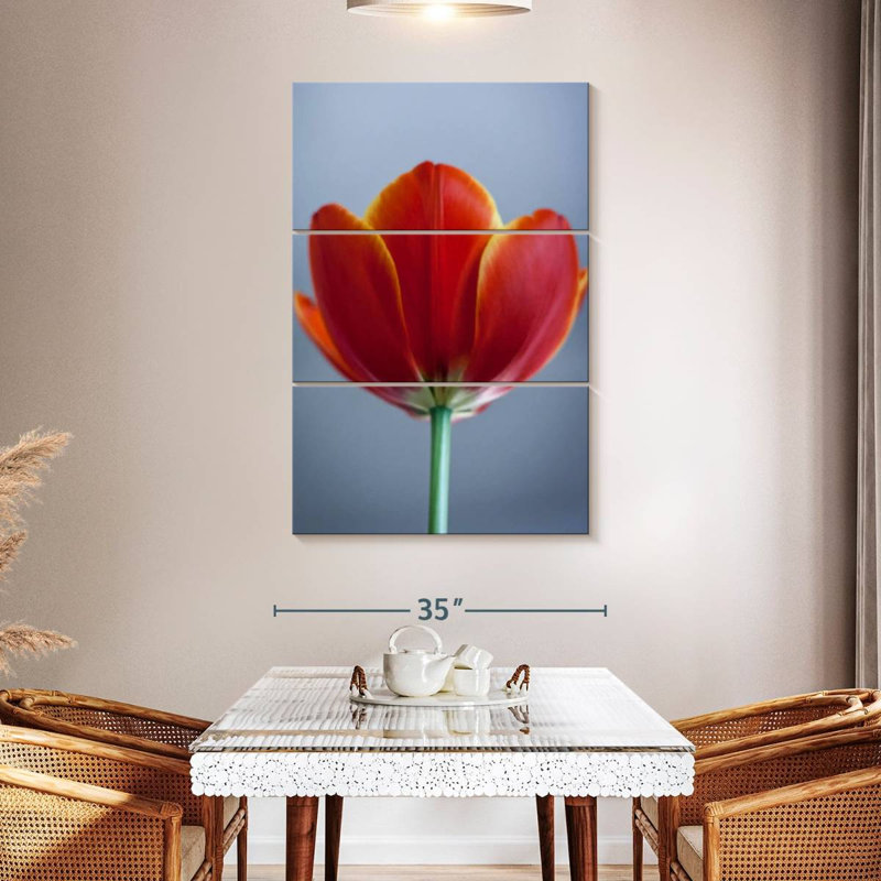 Tulipe rouge Harnek, H 50 po x l 32 po