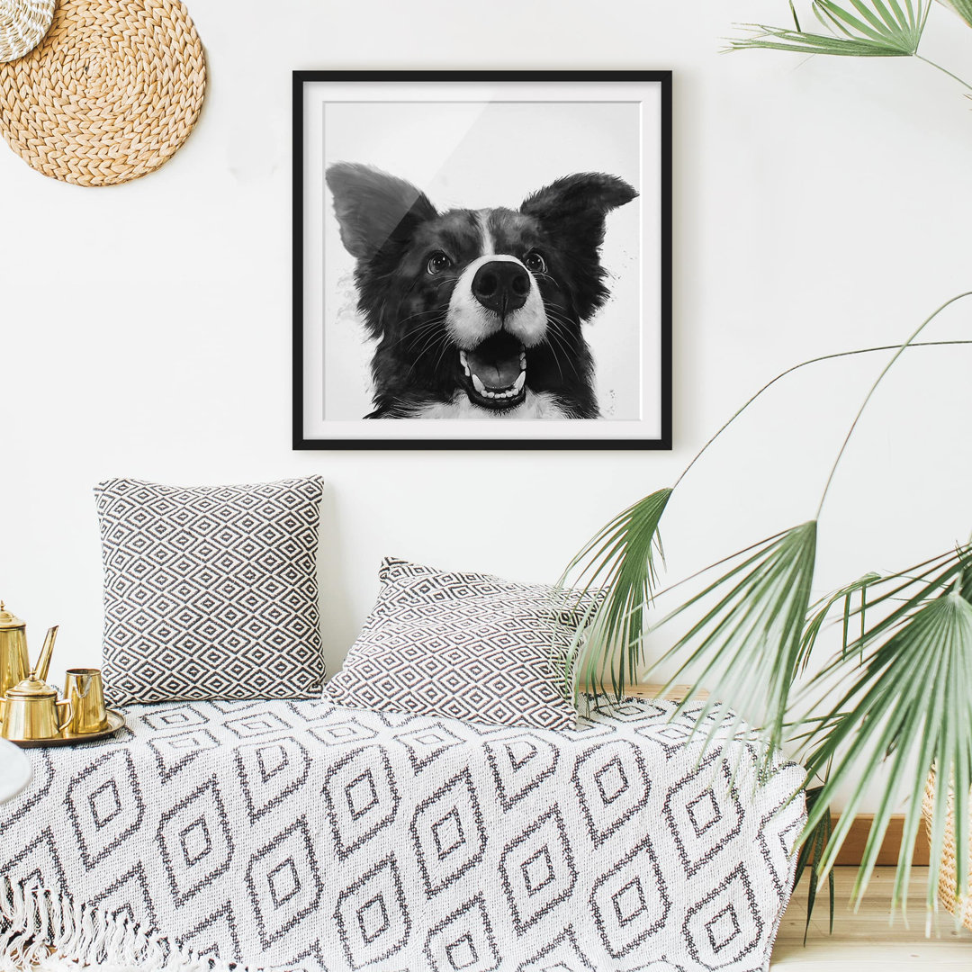 Gerahmtes Poster Illustration Dog Border Collie in Schwarzweiß