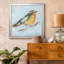 Variété d'oiseaux IV - reproduction de cadre photo sur toile-1294467925-1294467926