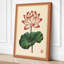 Lotus in Bloom Botanical - Wrapped Canvas-809397137-809399405