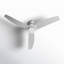 Carly LED Downrod Ceiling Fan-738260244-738260247-738260249