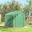 Greenhouse-111532879-98284339