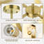 Mehme 4 - Light Classic/Traditional  Chandelier