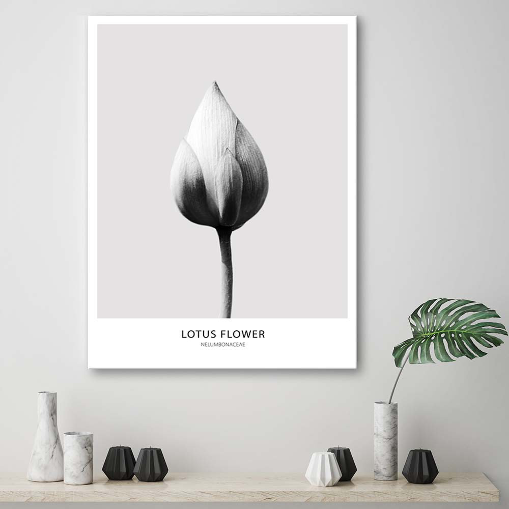 Leinwandbild Lotus Flower Black And White