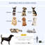 Pet Carrier Dog Crate for Dogs-80154871-80154872