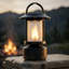 Renard flamme-120295459