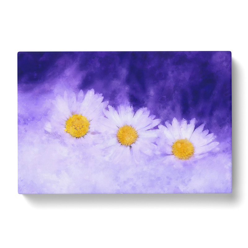 Three White Daisies - Wrapped Canvas, 50cm H x 76cm W x 3cm D