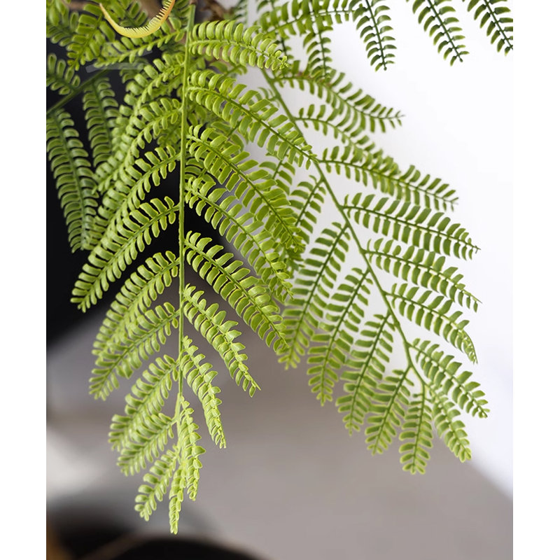 High Imitation Green Plant Jacaranda Tree