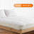 Livia 2'' Mattress Topper-31886379