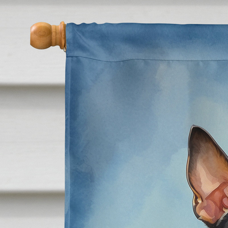 Drapeau «Happy Birthday House», Terrier de rat