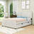 Upholstered Platform Bed with  Trundle-2147186774-1904504056