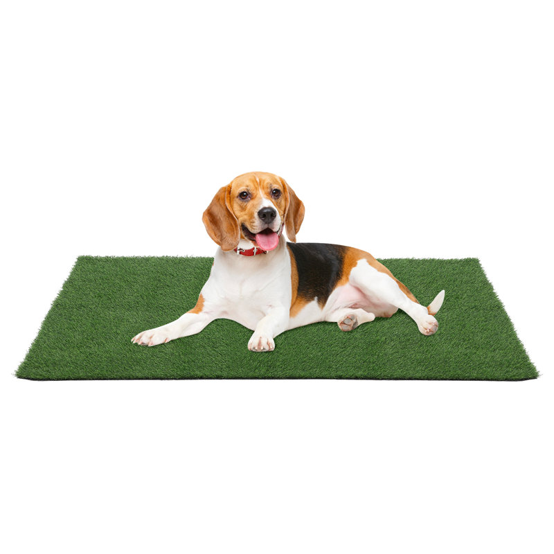Artificial Grass Turf Rolls 3.5ft * 13 Ft