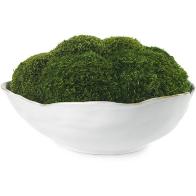 Moss in White Ceramic Bowl