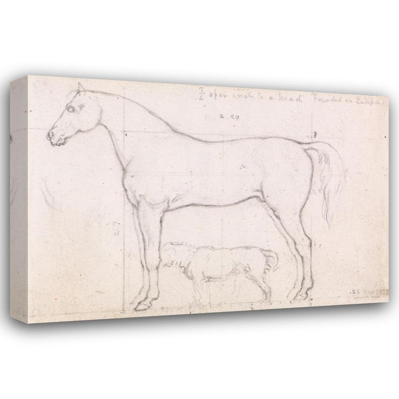 «Anatomical Study of a Horse, Founded on« Eclipse », 26 nov. 1832» par William Mul Ready - Art sur toile tendue avec châssis