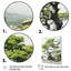 «Green Tree The Contrast», art mural sur toile floral et botanique-91362571-91362583