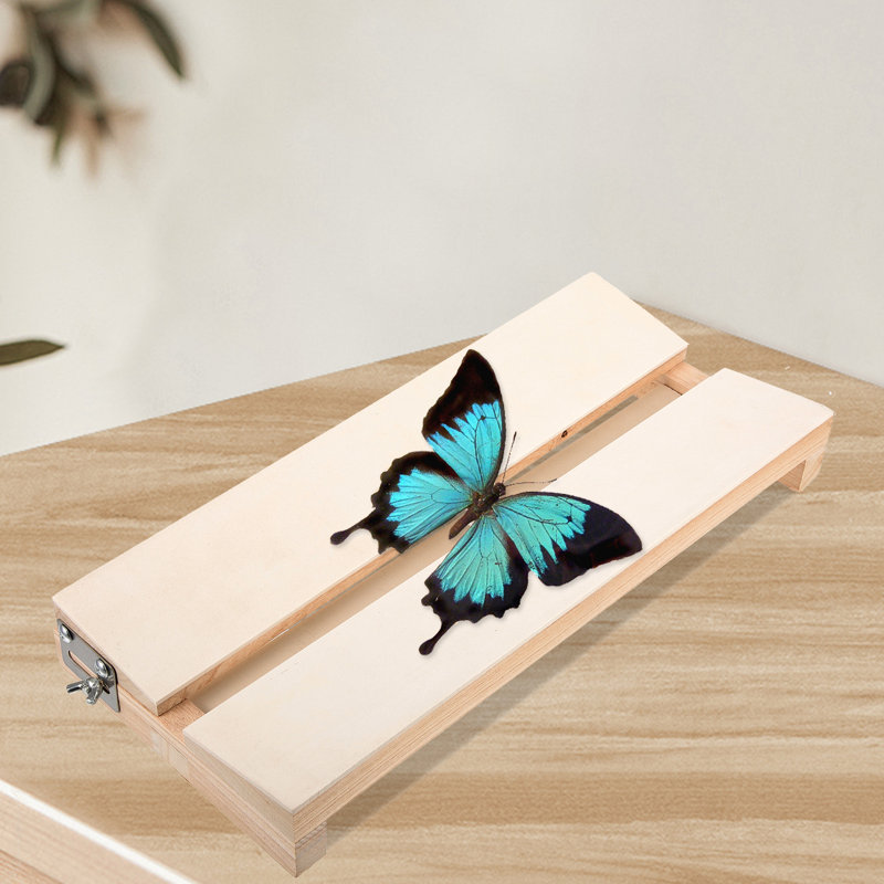 Specimen Display Board Adjustable Insect Butterflies Mounting Spreading Board For Science Education