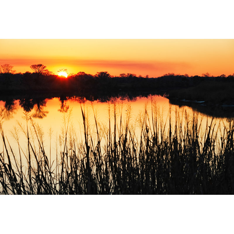 Coucher de soleil sur le marais horizontal du sud des États-Unis par Nicolasmccomber, H 20 po x l 30 po