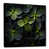 Cadre flottant noir