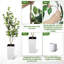 Faux Plant-216967046