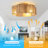 20.9" Boho Caged Ceiling Fan With Light Kit And Remote Control