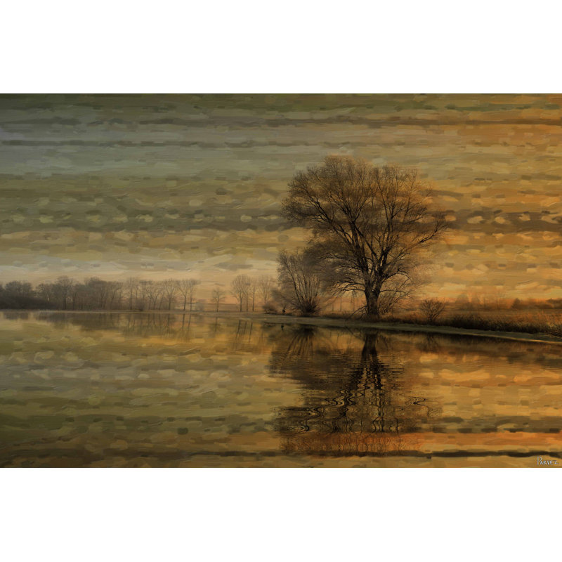 « tree coucher », reproduction d’art sur toile tendue, H 24 po x l 36 po x P 1,5 po