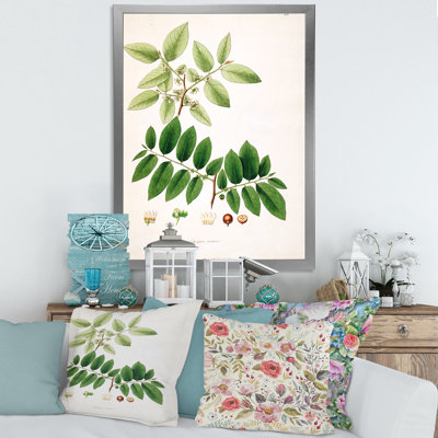 "Vintage Botanicals" - Peinture sur toile
