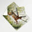 Tapisserie «Wildlife Spring Hare»-133633910