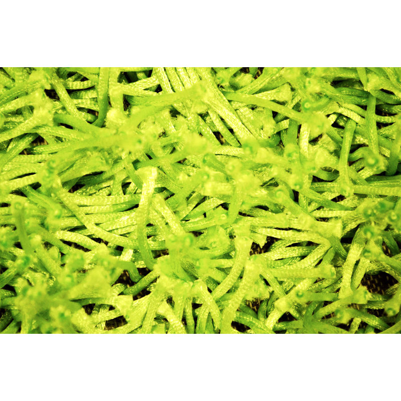 Spaghetti Solid Colour Shag Area Rug, Rectangle 200 x 300cm