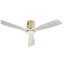 Ventilateur de plafond en métal et bois pour chambre à coucher et salon, 52 po, avec télécommande, moteur à courant continu