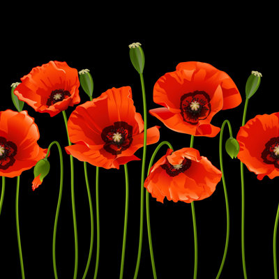 " Red Poppies in a Row. " Mixed Media Print