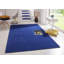 Fancy Blue Stair Tread