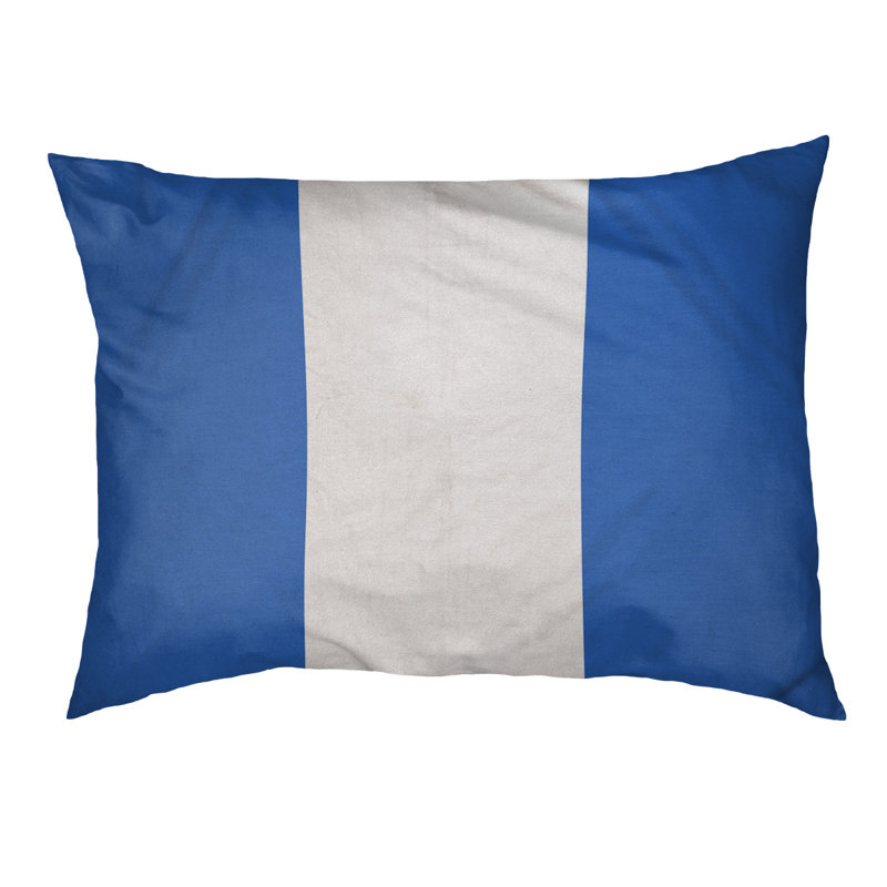 Coussin de lit pour chien Cincinnati, Grand (l 40 po x P 30 po x H 6,5 po), Île Seymour Nord, Galapagos