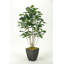 Faux Fiddle Leaf Fig Tree in Metal Planter