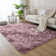 Alaunna Standard Shag Area Rug